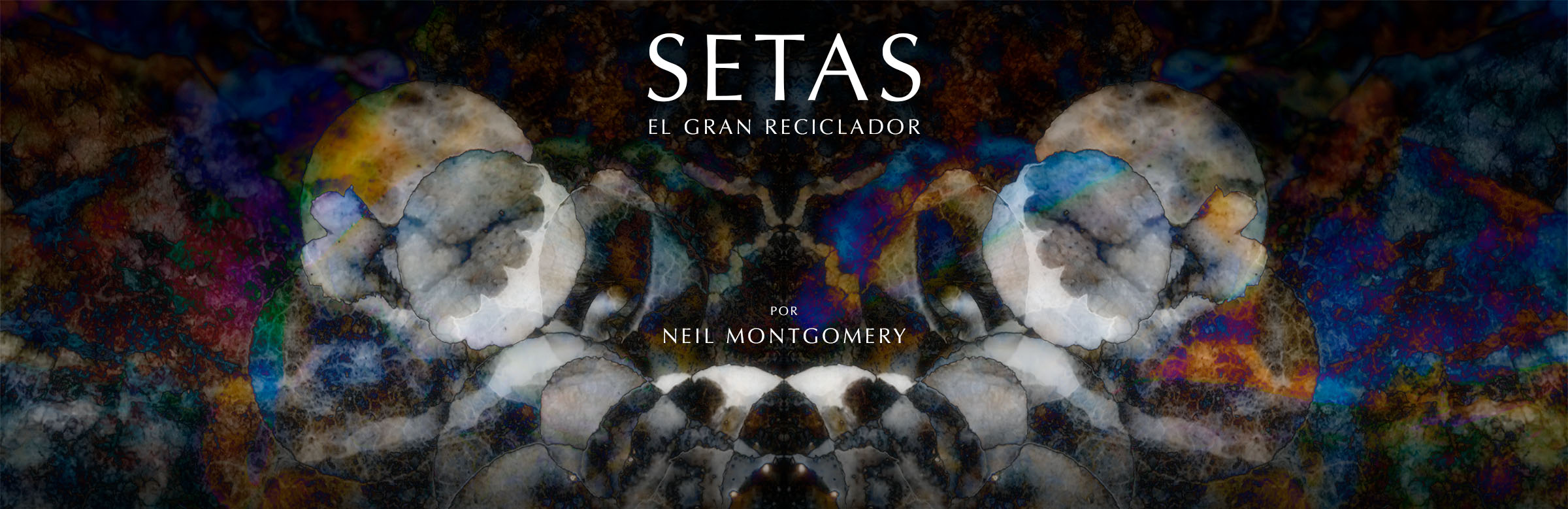 SETAS - El Gran Reciclador